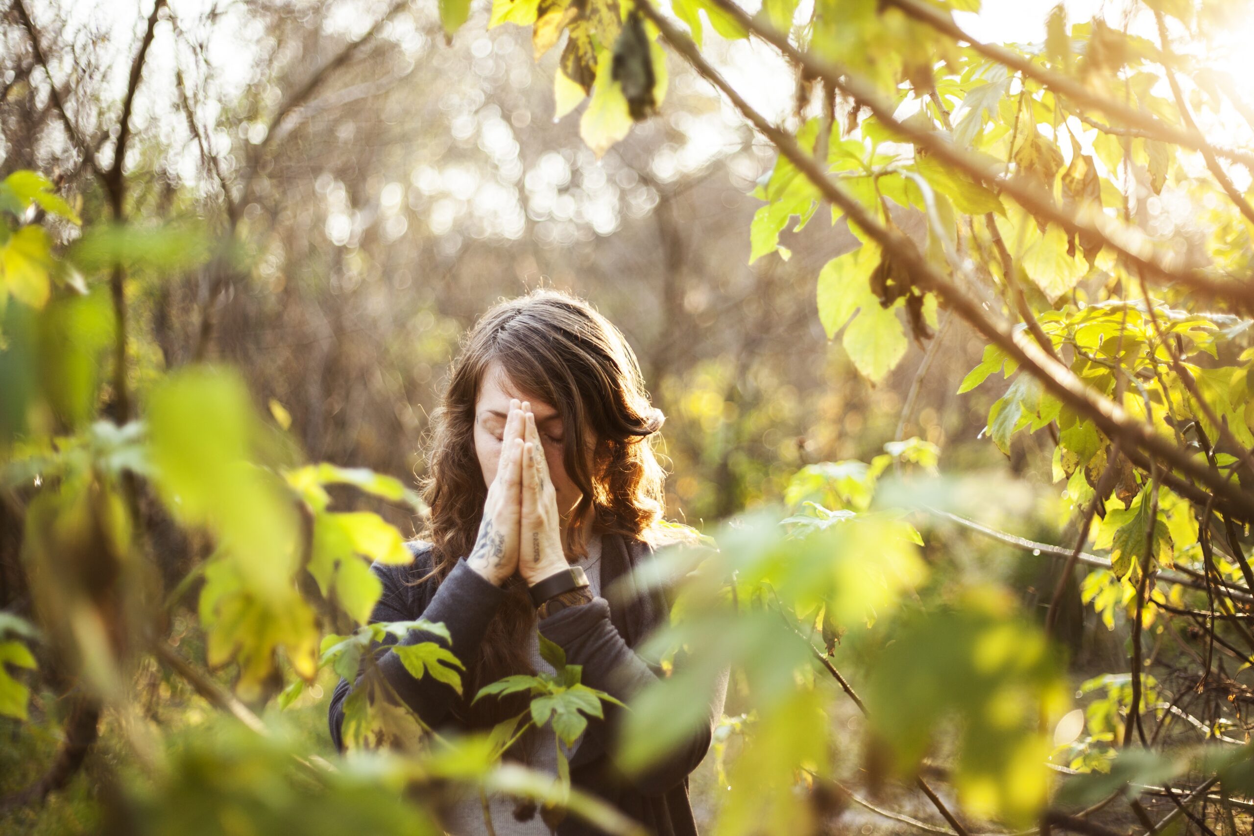 Unlocking the Spiritual Meaning of the Yellow Butterfly